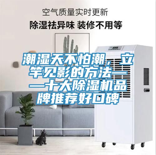 潮濕天不怕潮，立竿見影的方法——十大除濕機品牌推薦好口碑