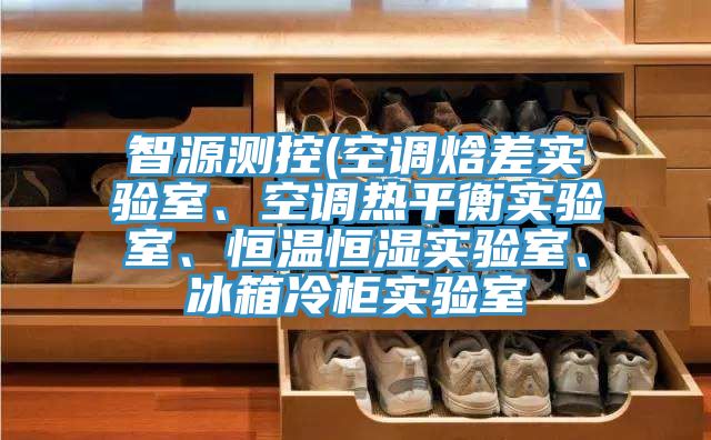 智源測控(空調(diào)焓差實(shí)驗(yàn)室、空調(diào)熱平衡實(shí)驗(yàn)室、恒溫恒濕實(shí)驗(yàn)室、冰箱冷柜實(shí)驗(yàn)室