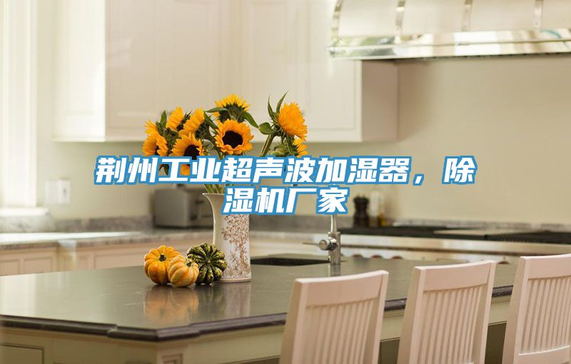 荊州工業(yè)超聲波加濕器，除濕機廠家