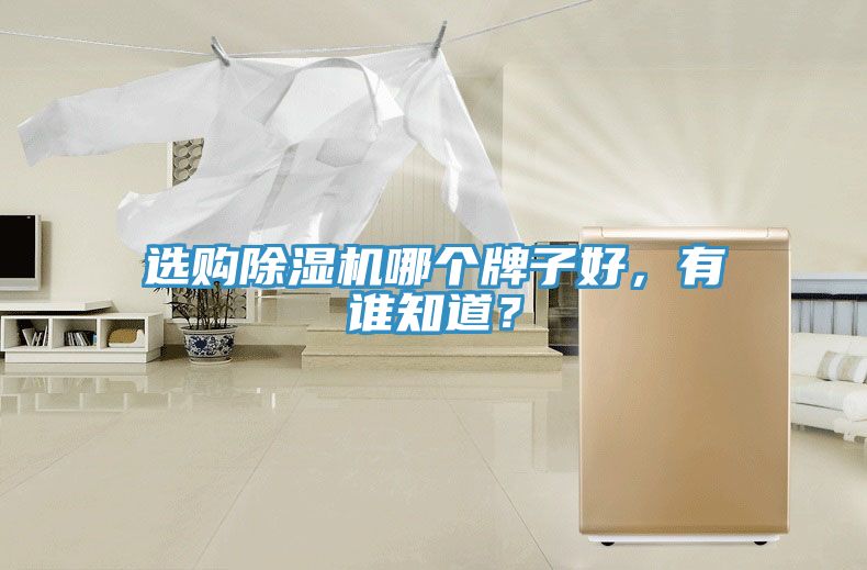 選購除濕機哪個牌子好，有誰知道？