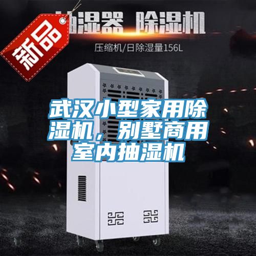 武漢小型家用除濕機(jī)，別墅商用室內(nèi)抽濕機(jī)