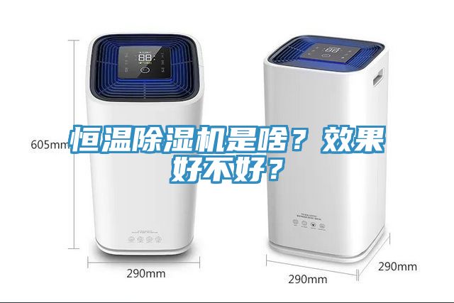 恒溫除濕機是啥？效果好不好？