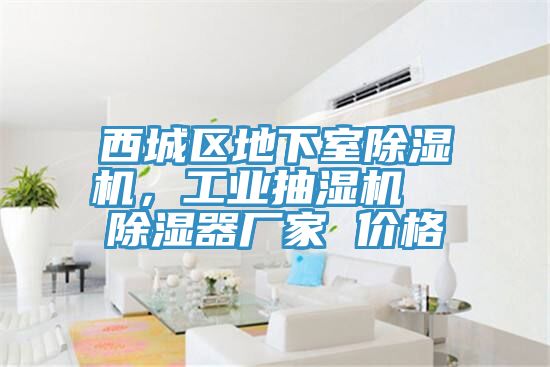 西城區(qū)地下室除濕機(jī)，工業(yè)抽濕機(jī)  除濕器廠(chǎng)家 價(jià)格