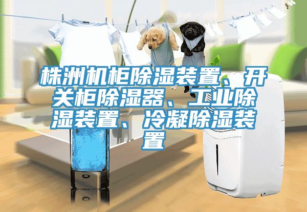 株洲機(jī)柜除濕裝置、開(kāi)關(guān)柜除濕器、工業(yè)除濕裝置、冷凝除濕裝置