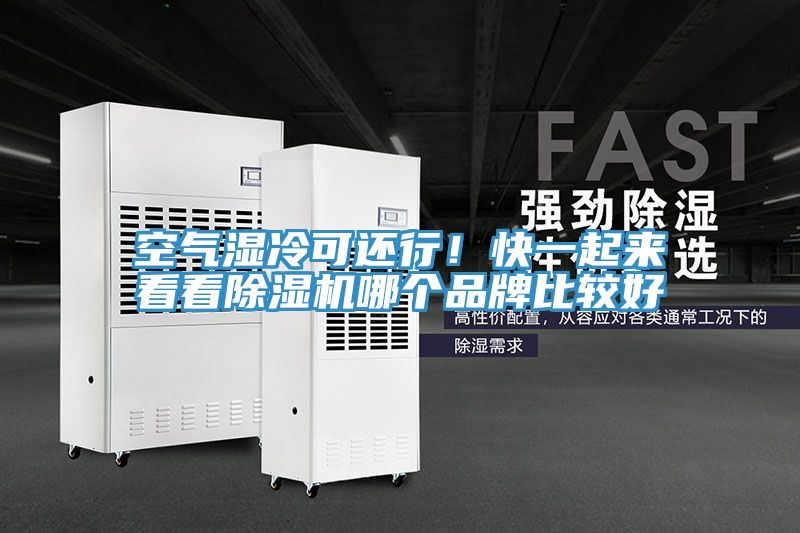 空氣濕冷可還行！快一起來(lái)看看除濕機(jī)哪個(gè)品牌比較好