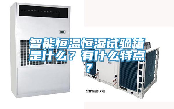 智能恒溫恒濕試驗箱是什么？有什么特點？