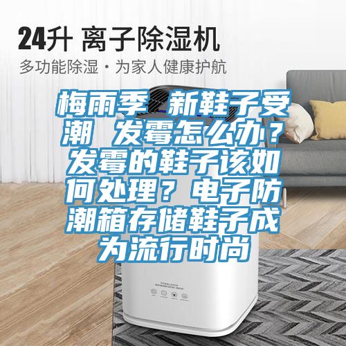 梅雨季 新鞋子受潮 發(fā)霉怎么辦？發(fā)霉的鞋子該如何處理？電子防潮箱存儲鞋子成為流行時尚