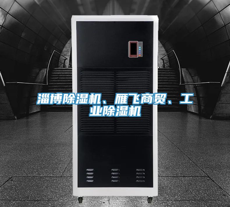 淄博除濕機、雁飛商貿(mào)、工業(yè)除濕機