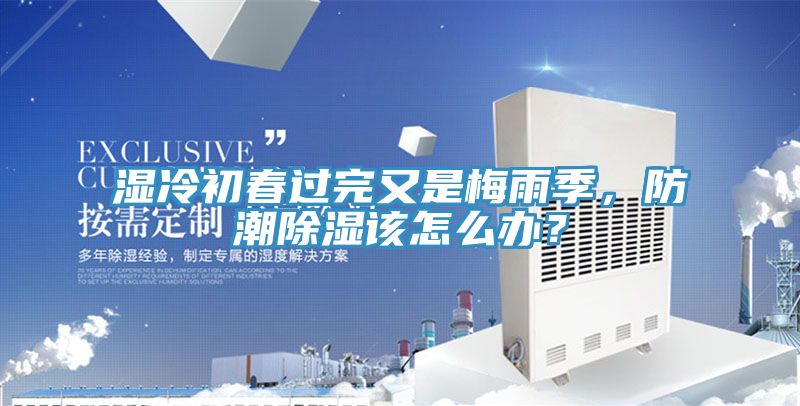 濕冷初春過完又是梅雨季，防潮除濕該怎么辦？