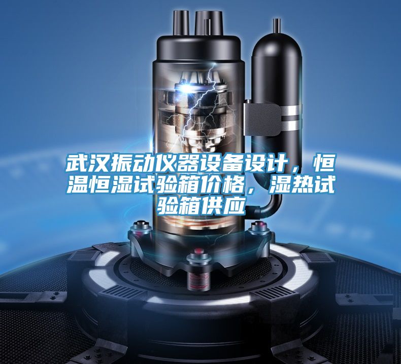 武漢振動(dòng)儀器設(shè)備設(shè)計(jì)，恒溫恒濕試驗(yàn)箱價(jià)格，濕熱試驗(yàn)箱供應(yīng)