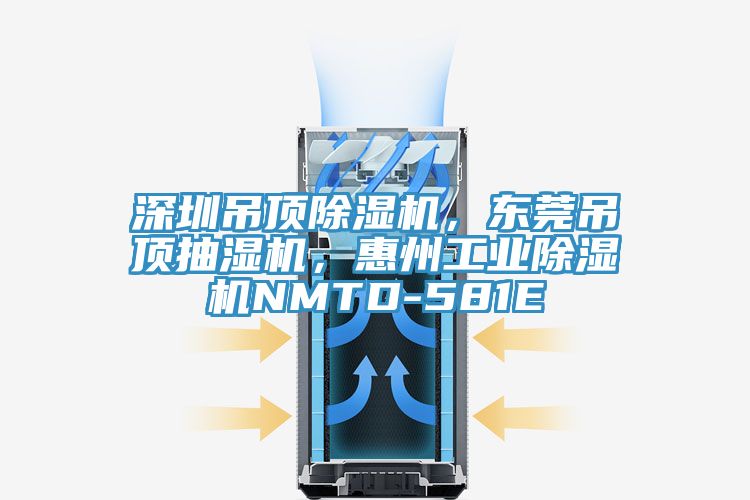 深圳吊頂除濕機，東莞吊頂抽濕機，惠州工業(yè)除濕機NMTD-581E