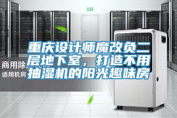 重慶設(shè)計(jì)師魔改負(fù)二層地下室，打造不用抽濕機(jī)的陽(yáng)光趣味房