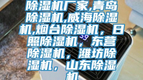 除濕機(jī)廠家,青島除濕機(jī),威海除濕機(jī),煙臺(tái)除濕機(jī)，日照除濕機(jī)，東營(yíng)除濕機(jī)，濰坊除濕機(jī)，山東除濕機(jī)