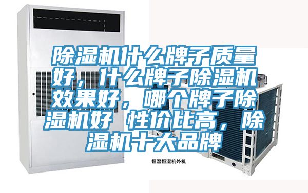 除濕機(jī)什么牌子質(zhì)量好，什么牌子除濕機(jī)效果好，哪個牌子除濕機(jī)好 性價比高，除濕機(jī)十大品牌