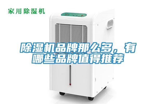 除濕機(jī)品牌那么多，有哪些品牌值得推薦