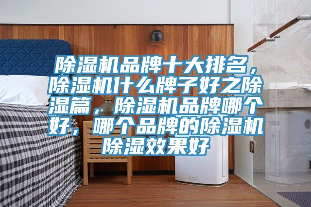 除濕機(jī)品牌十大排名，除濕機(jī)什么牌子好之除濕篇，除濕機(jī)品牌哪個(gè)好，哪個(gè)品牌的除濕機(jī)除濕效果好