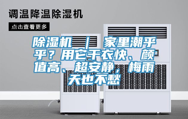 除濕機 ｜ 家里潮乎乎？用它干衣快、顏值高、超安靜，梅雨天也不愁