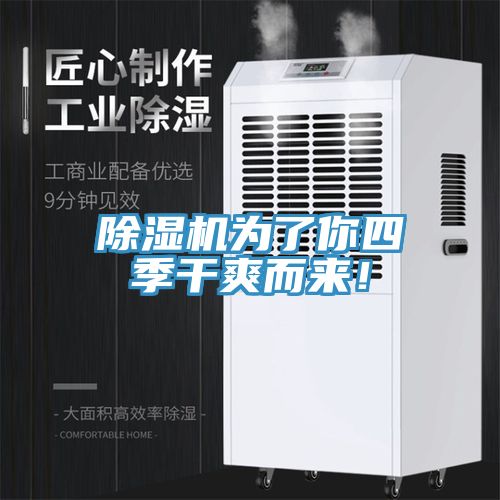 除濕機(jī)為了你四季干爽而來！