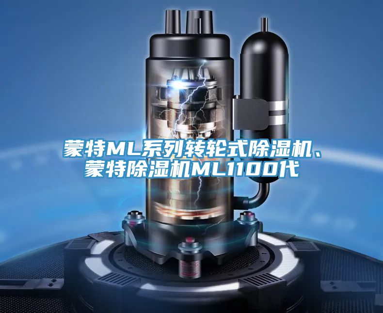 蒙特ML系列轉(zhuǎn)輪式除濕機、蒙特除濕機ML1100代