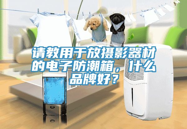 請教用于放攝影器材的電子防潮箱，什么品牌好？