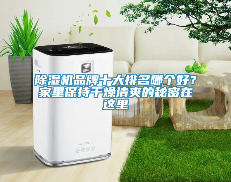 除濕機(jī)品牌十大排名哪個(gè)好？家里保持干燥清爽的秘密在這里