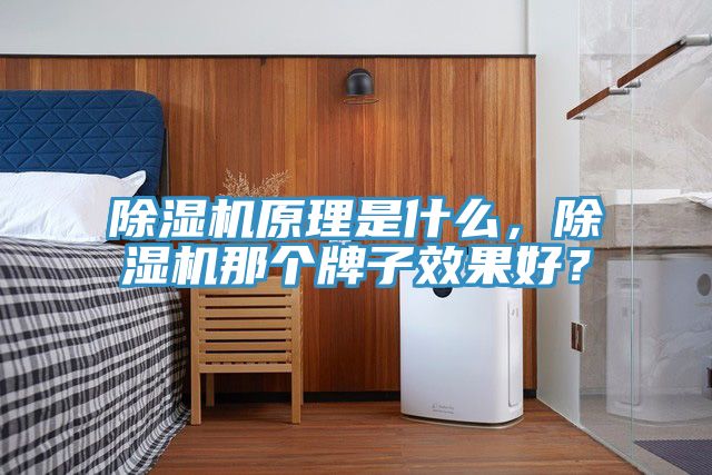 除濕機(jī)原理是什么，除濕機(jī)那個(gè)牌子效果好？