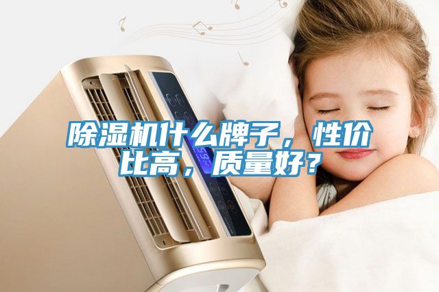 除濕機(jī)什么牌子，性價(jià)比高，質(zhì)量好？