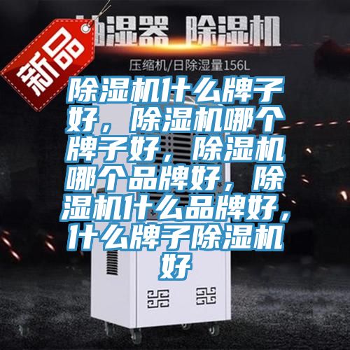 除濕機(jī)什么牌子好，除濕機(jī)哪個牌子好，除濕機(jī)哪個品牌好，除濕機(jī)什么品牌好，什么牌子除濕機(jī)好
