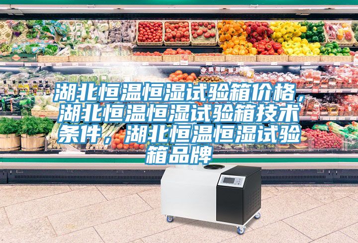 湖北恒溫恒濕試驗箱價格，湖北恒溫恒濕試驗箱技術(shù)條件，湖北恒溫恒濕試驗箱品牌