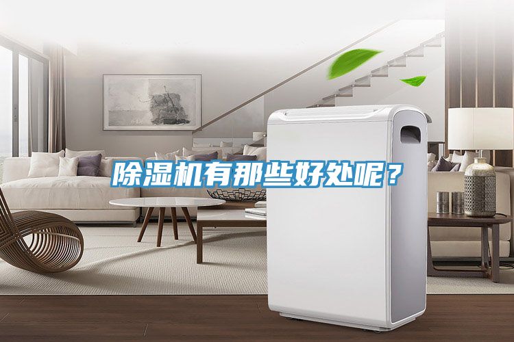 除濕機(jī)有那些好處呢？
