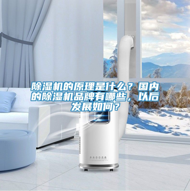 除濕機的原理是什么？國內(nèi)的除濕機品牌有哪些，以后發(fā)展如何？