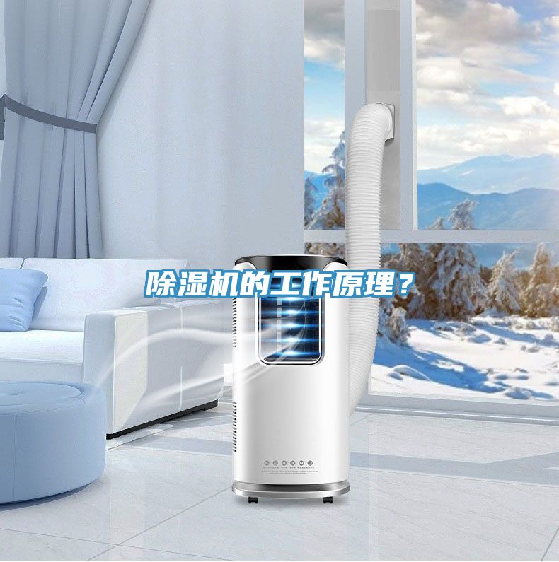 除濕機的工作原理？