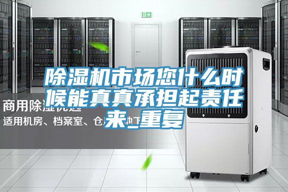 除濕機市場您什么時候能真真承擔起責(zé)任來_重復(fù)