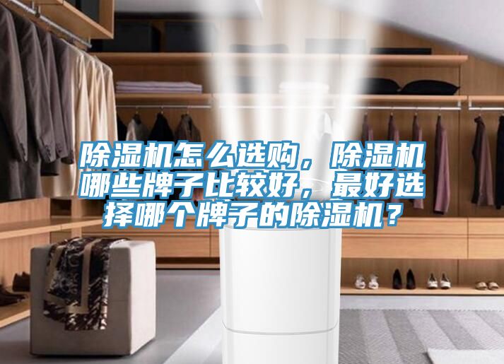 除濕機(jī)怎么選購，除濕機(jī)哪些牌子比較好，最好選擇哪個(gè)牌子的除濕機(jī)？