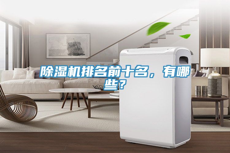 除濕機(jī)排名前十名，有哪些？