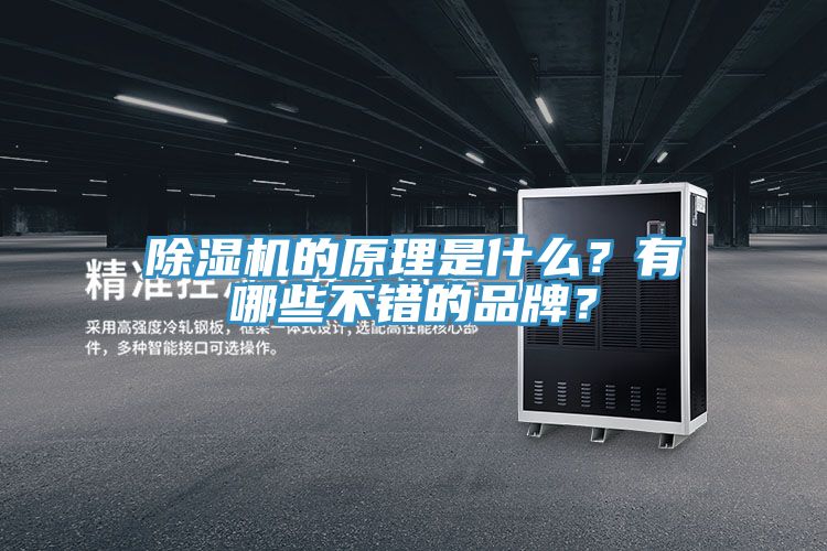 除濕機的原理是什么？有哪些不錯的品牌？