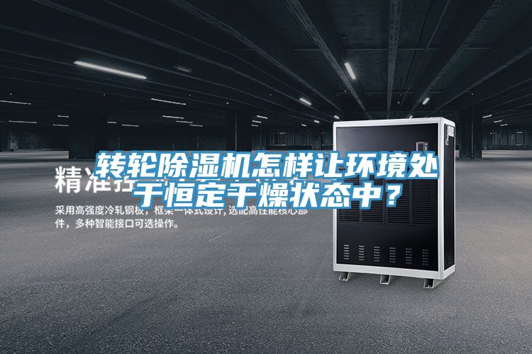 轉(zhuǎn)輪除濕機怎樣讓環(huán)境處于恒定干燥狀態(tài)中？