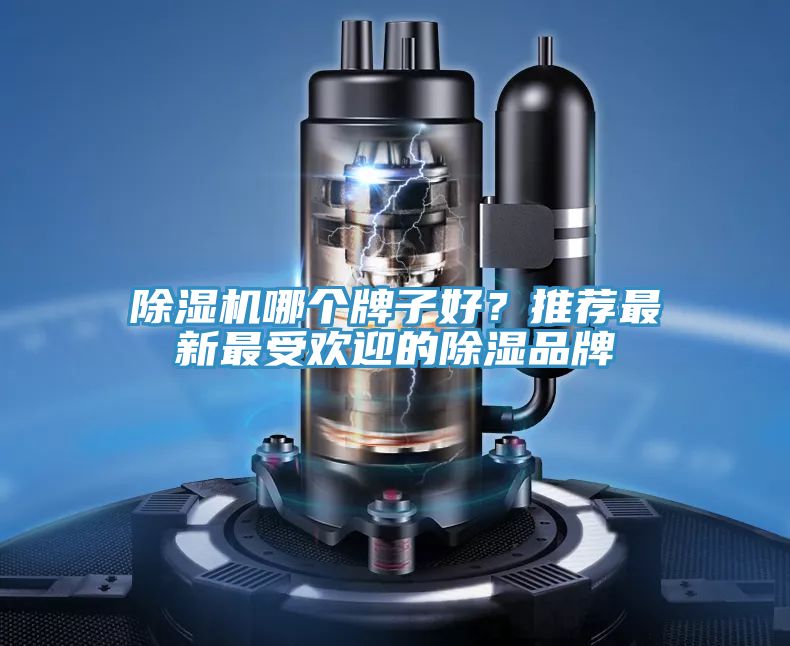 除濕機(jī)哪個(gè)牌子好？推薦最新最受歡迎的除濕品牌