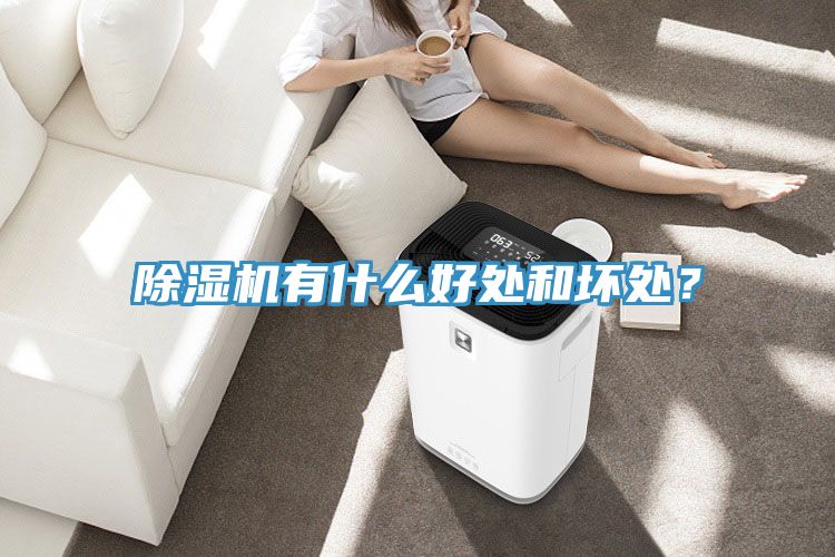 除濕機有什么好處和壞處？