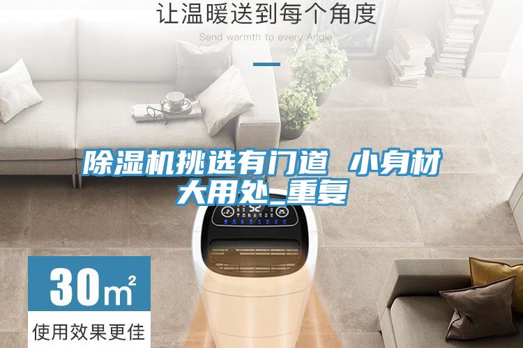 除濕機(jī)挑選有門(mén)道 小身材大用處_重復(fù)