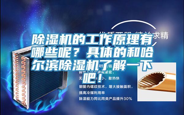除濕機的工作原理有哪些呢？具體的和哈爾濱除濕機了解一下吧！