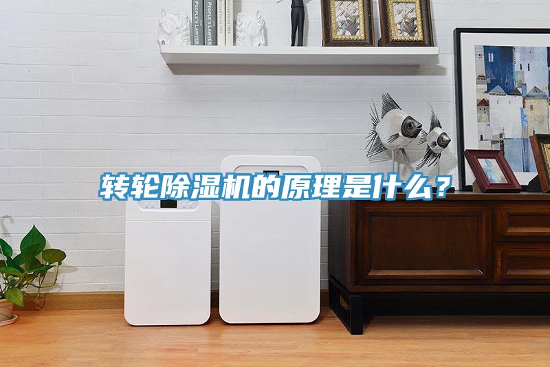 轉(zhuǎn)輪除濕機(jī)的原理是什么？