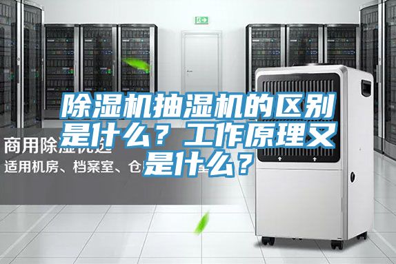 除濕機抽濕機的區(qū)別是什么？工作原理又是什么？