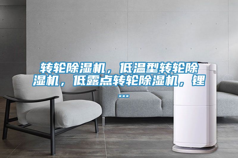 轉(zhuǎn)輪除濕機(jī)，低溫型轉(zhuǎn)輪除濕機(jī)，低露點(diǎn)轉(zhuǎn)輪除濕機(jī)，鋰 ...